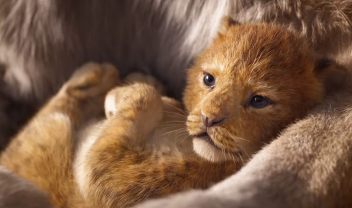 SIMBA
