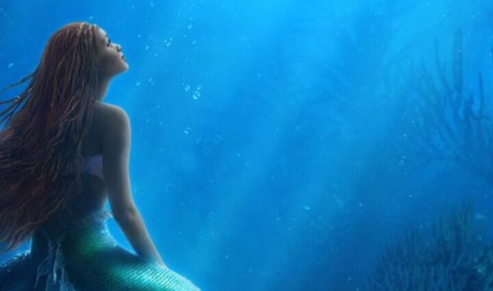 sereia-molde-news-noticia